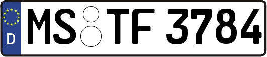 MS-TF3784