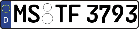 MS-TF3793