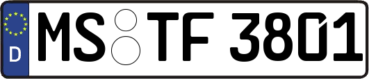 MS-TF3801