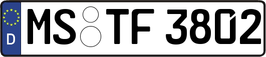 MS-TF3802