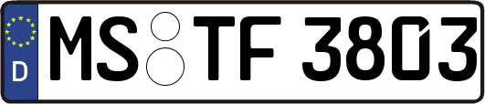 MS-TF3803