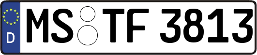MS-TF3813