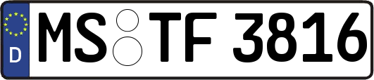 MS-TF3816