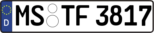 MS-TF3817