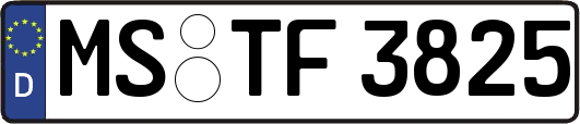 MS-TF3825