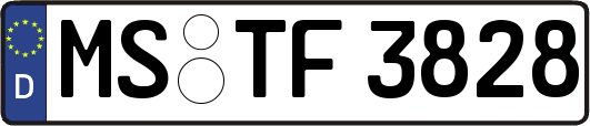 MS-TF3828