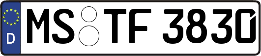 MS-TF3830