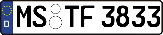 MS-TF3833