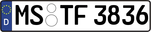 MS-TF3836