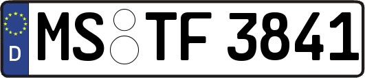 MS-TF3841