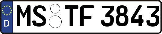 MS-TF3843