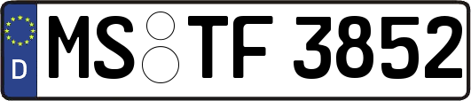 MS-TF3852