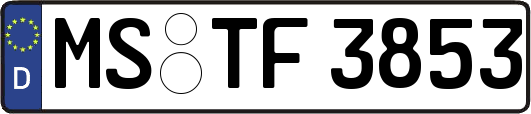MS-TF3853