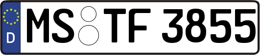 MS-TF3855