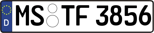 MS-TF3856