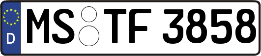 MS-TF3858
