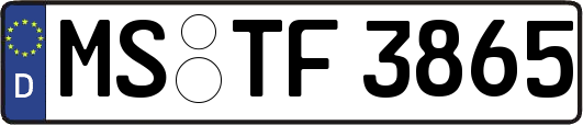 MS-TF3865