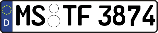 MS-TF3874