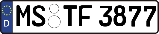 MS-TF3877
