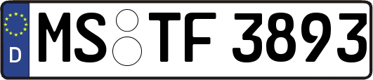 MS-TF3893