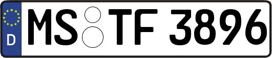 MS-TF3896