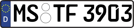MS-TF3903