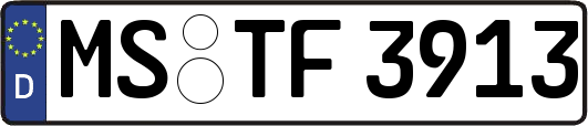 MS-TF3913