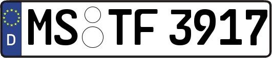 MS-TF3917