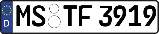 MS-TF3919