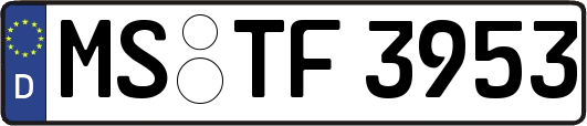 MS-TF3953