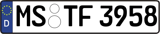 MS-TF3958