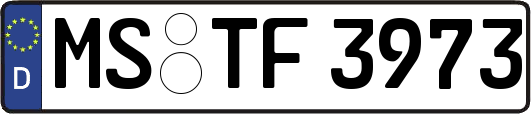 MS-TF3973