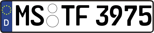 MS-TF3975