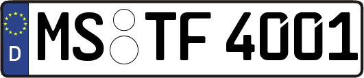 MS-TF4001