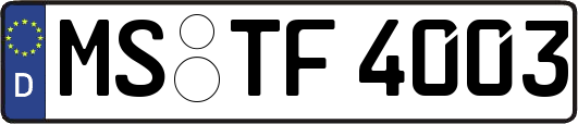 MS-TF4003