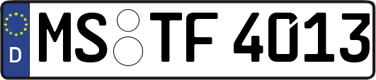 MS-TF4013