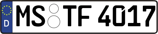 MS-TF4017