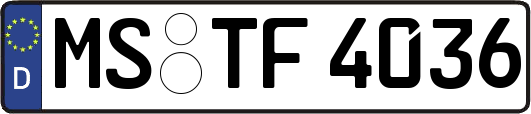 MS-TF4036