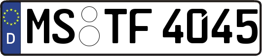 MS-TF4045