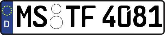 MS-TF4081