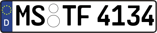 MS-TF4134