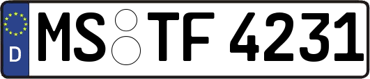 MS-TF4231