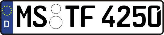 MS-TF4250