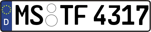 MS-TF4317