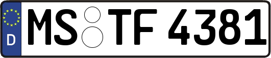 MS-TF4381