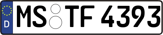 MS-TF4393