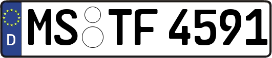 MS-TF4591