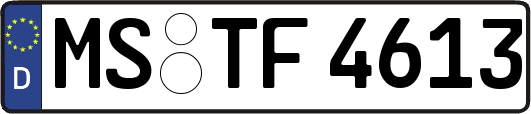 MS-TF4613