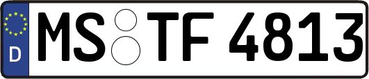 MS-TF4813