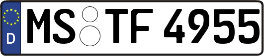 MS-TF4955